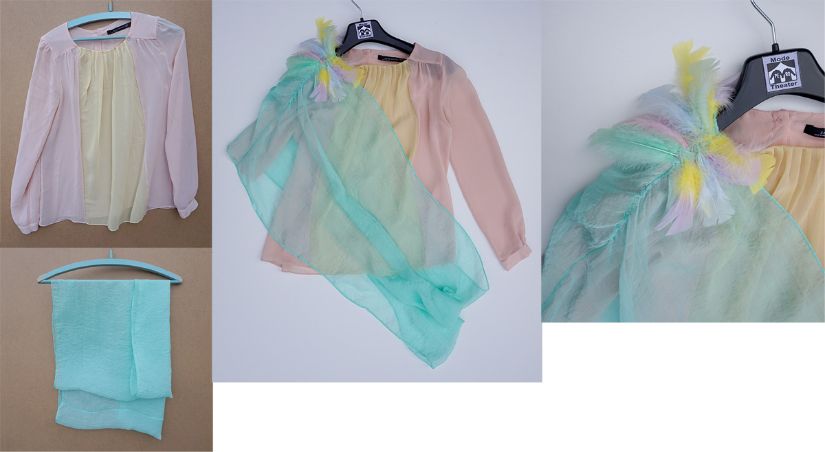Upcycling_Bluse_Federn